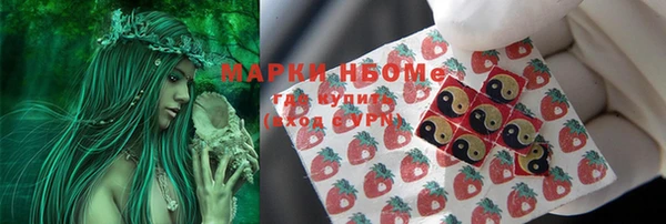 крисы Армянск