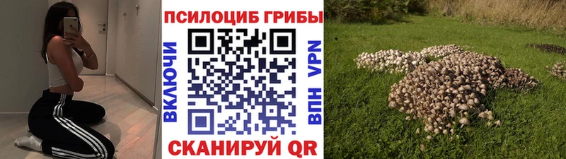 Псилоцибиновые грибы прущие грибы  где можно купить наркотик  Макарьев 